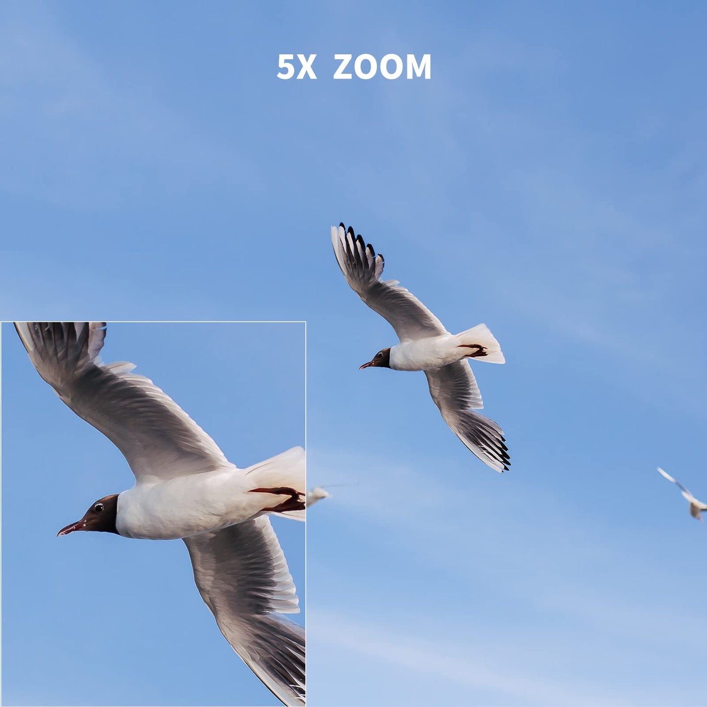 SJCAM SJ4000 Action Camera 4K, 40MP Waterproof Camera Underwater, OIS Stabilization Motorcycle Sport Camera, 170°FOV, 5X Zoom, Dual Batteries, 32G SD Card and Helmet Mount Accessories Kits