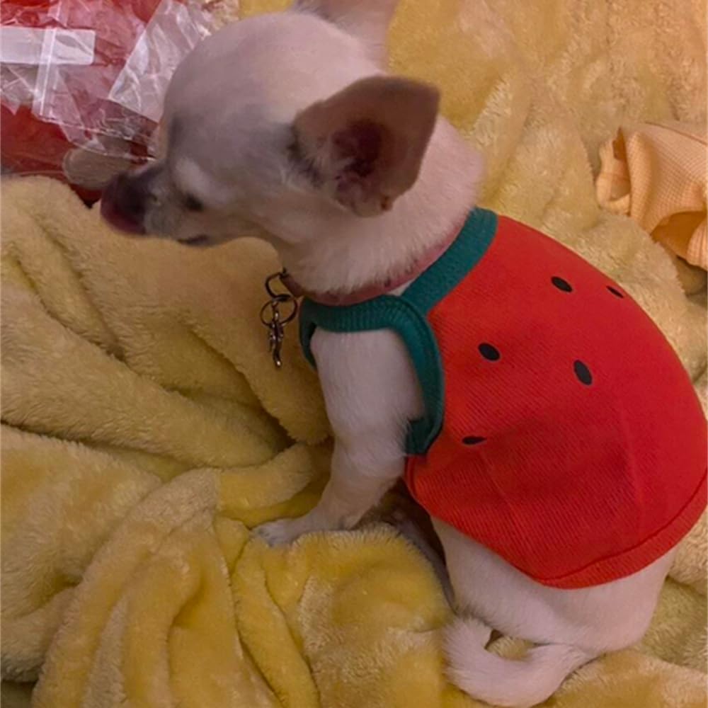 Dog Summer Clothes - Summer Funny Dog Clothes Cat Shirts Watermelon Dog Shirt Fruit Dogs Vest Cute Puppy Sleeveless Vest T-Shirt French Bulldog Tank Tops (Medium)