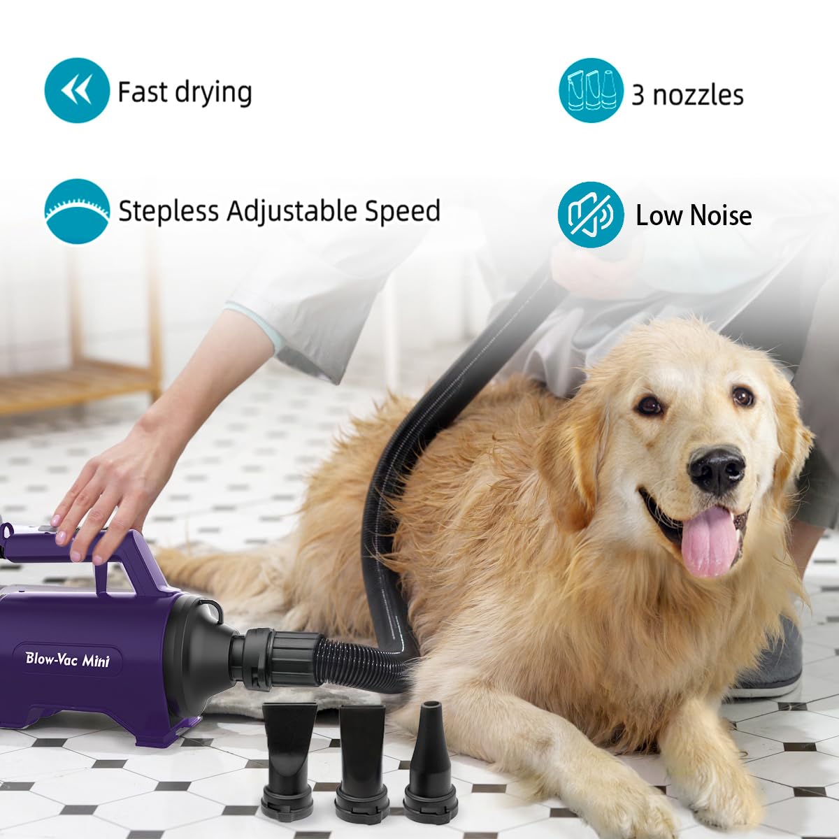 Secador de pelo para perros de alta velocidad, profesional, para mascotas y perros.