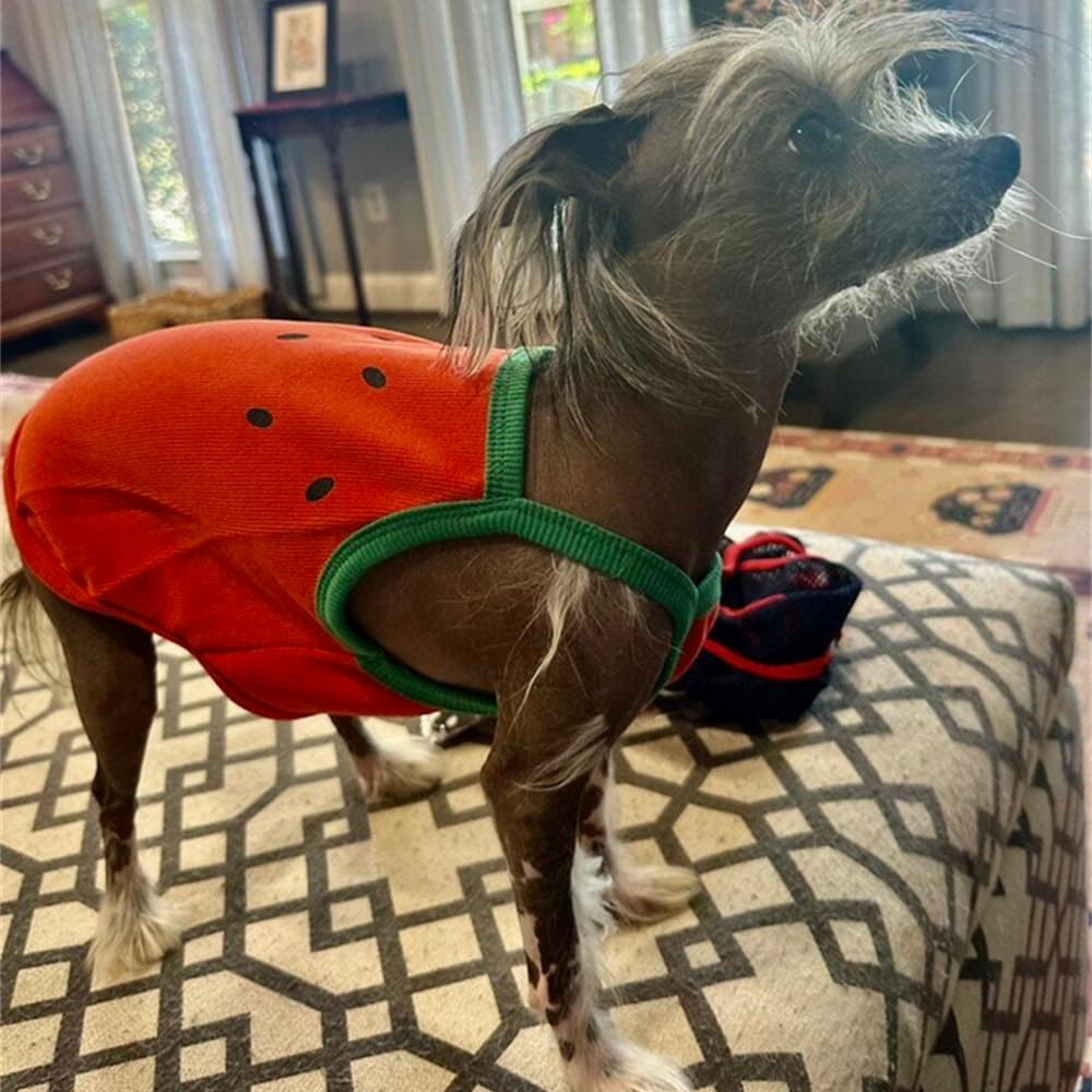 Dog Summer Clothes - Summer Funny Dog Clothes Cat Shirts Watermelon Dog Shirt Fruit Dogs Vest Cute Puppy Sleeveless Vest T-Shirt French Bulldog Tank Tops (Medium)