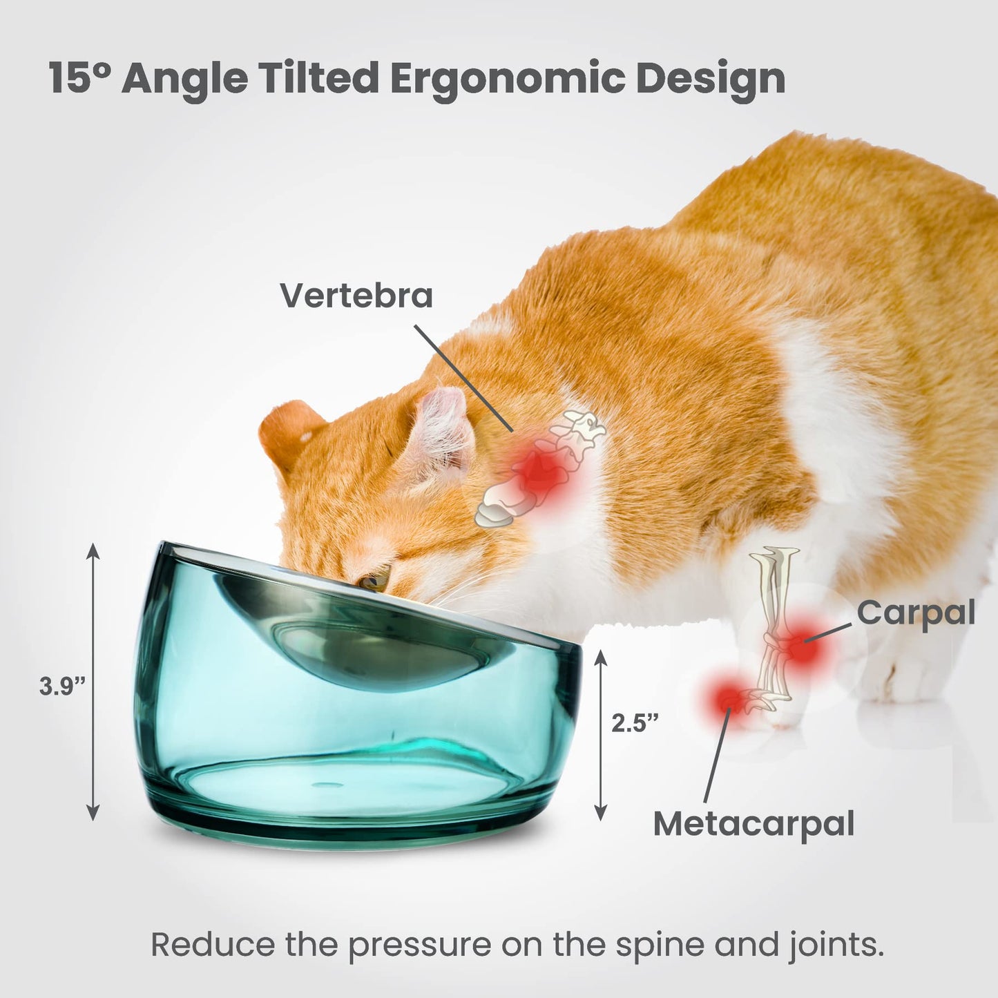 Felli Oblik Elevated Cat Bowl Whisker Fatigue Stainless Steel Shallow Dish, Tilted Anti Vomit, Non Spill Flat Plate for Small Dog Pet, Raised Stand + Metal Feeder for Dry Wet Food (0.5Cup, Classic)
