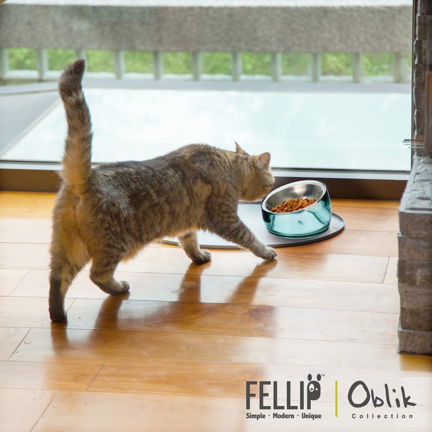 Felli Oblik Elevated Cat Bowl Whisker Fatigue Stainless Steel Shallow Dish, Tilted Anti Vomit, Non Spill Flat Plate for Small Dog Pet, Raised Stand + Metal Feeder for Dry Wet Food (0.5Cup, Classic)