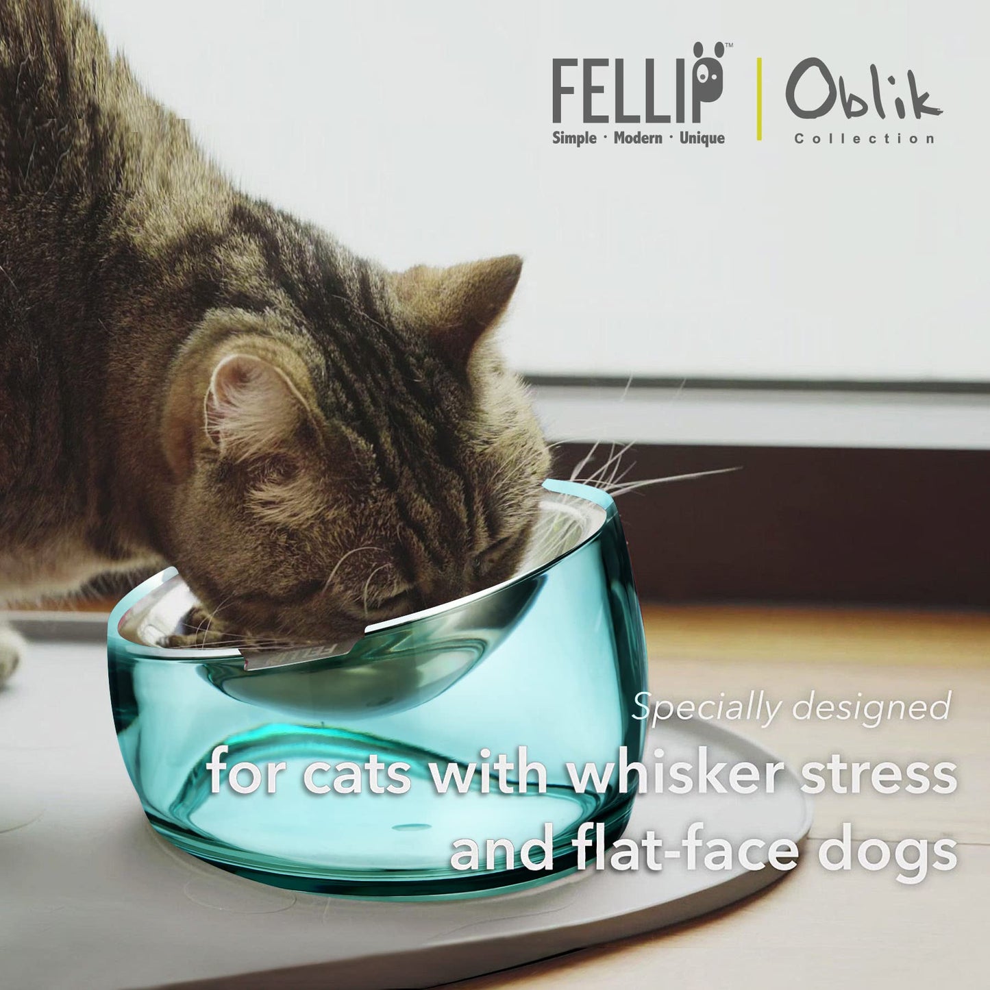Felli Oblik Elevated Cat Bowl Whisker Fatigue Stainless Steel Shallow Dish, Tilted Anti Vomit, Non Spill Flat Plate for Small Dog Pet, Raised Stand + Metal Feeder for Dry Wet Food (0.5Cup, Classic)