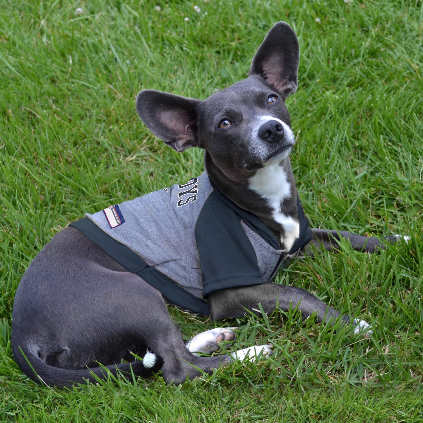 Pets First NFL Dallas Cowboys Hoodie for Dogs & Cats. NFL Football Licensed Dog Hoody Tee Shirt, Large. Sports Hoody T-Shirt for Pets. Licensed Sporty Dog Shirt (DAL-4044-LG)