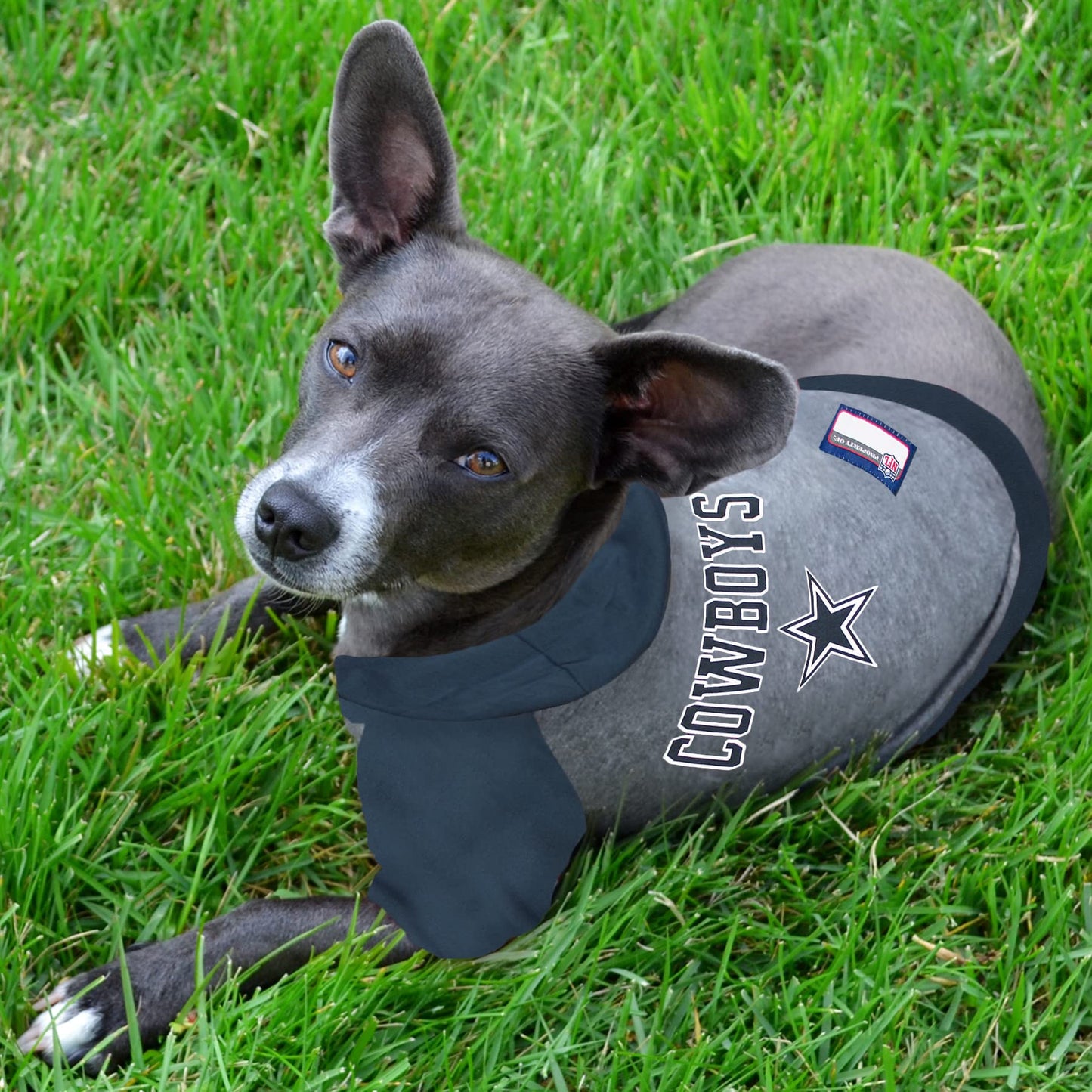 Pets First NFL Dallas Cowboys Hoodie for Dogs & Cats. NFL Football Licensed Dog Hoody Tee Shirt, Large. Sports Hoody T-Shirt for Pets. Licensed Sporty Dog Shirt (DAL-4044-LG)