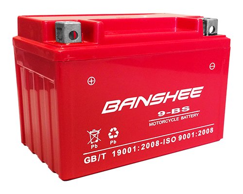 YTX9-BS battery for Kawasaki Z1000 1000cc motorcycle/scooter,