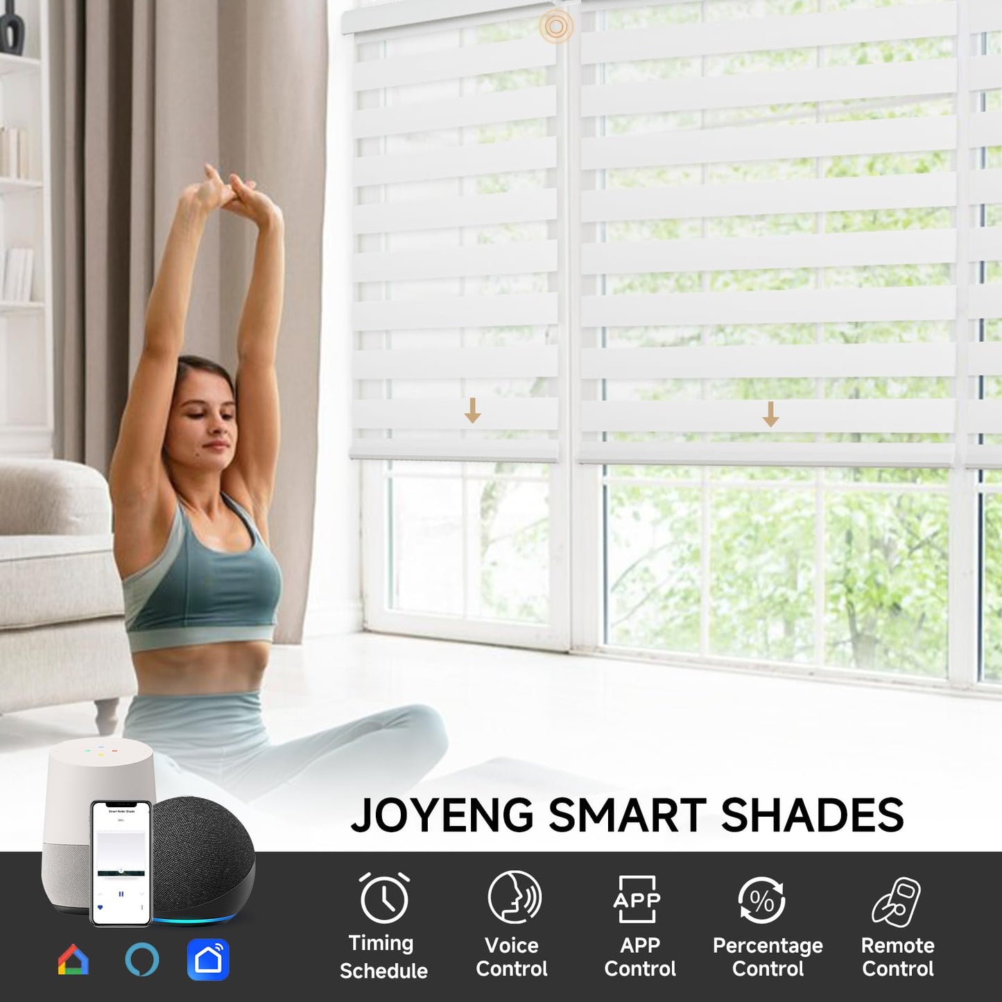 JOYENG Motorized Zebra Blinds Compatible with Alexa, Smart Dual Layer Shades with Privacy Light Control, Electric Horizontal Window Blind Customized Size for Home Office (Luxury White)