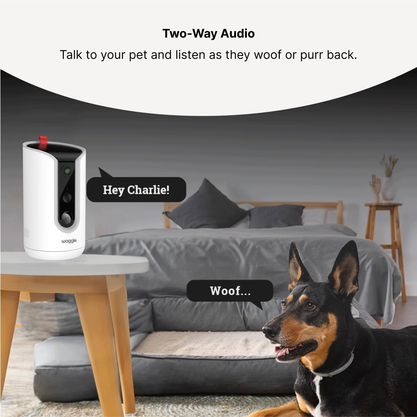 WaggleCam 2K | 360° Pet Camera with Treat Dispenser, Privacy-Enabled Built-in Storage, Free Video Streaming for Pets, Motion Alerts, Night Vision & 2-Way Audio