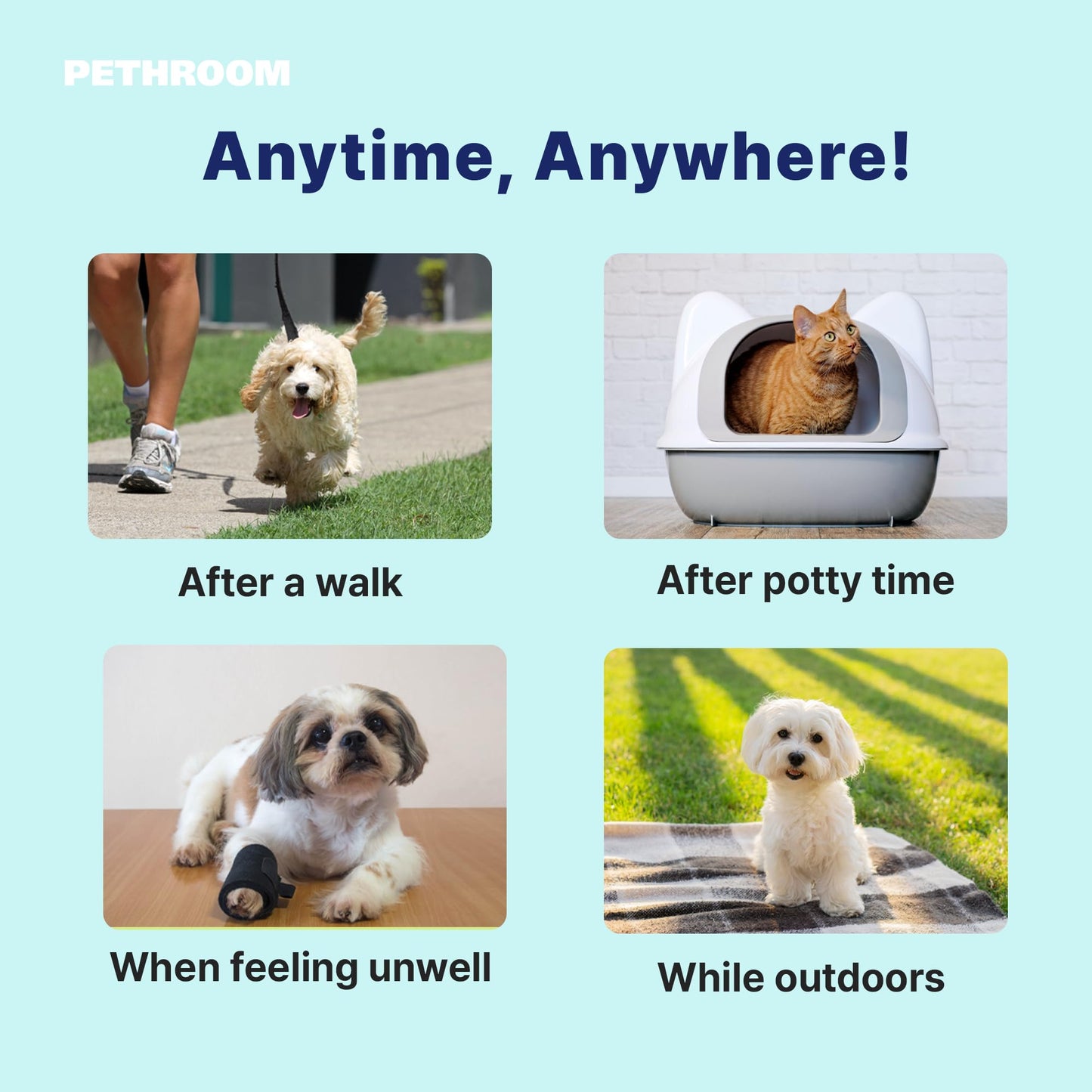 [PETHROOM] No-Rinse Paw Cleaner for Dogs & Cats | Portable, Quick Drying & Non-Sticky | Puppy Paw Washer with Soft Silicone Bristle | Deodorizing, Moisturizing, Allergy-Free Fragrance 2.87 fl oz.
